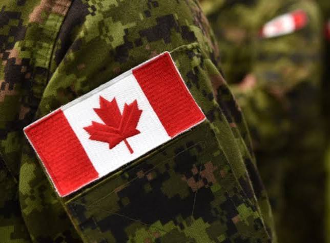 Canadian Leaders Urge Ottawa to Back National Youth Service with Military Training